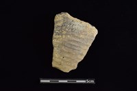 藏品(陶片)的圖片