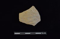 藏品(陶片)的圖片