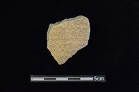 藏品(陶片)的圖片