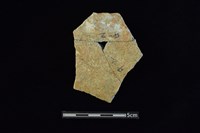 藏品(陶片)的圖片