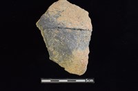 藏品(陶片)的圖片