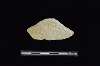 藏品(陶片)的圖片