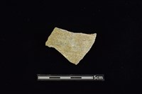 藏品(陶片)的圖片