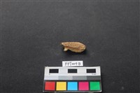 藏品(鹿骨)的圖片