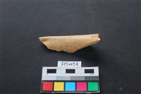 藏品(偶蹄類動物骨)的圖片