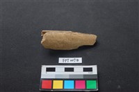 藏品(偶蹄類動物骨)的圖片