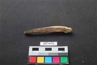 藏品(偶蹄類動物骨)的圖片