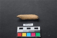 藏品(偶蹄類動物骨)的圖片