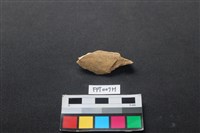 藏品(偶蹄類動物骨)的圖片