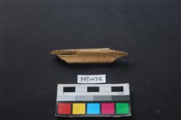 藏品(偶蹄類動物骨)的圖片