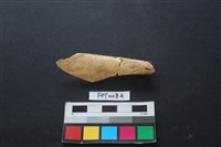 藏品(偶蹄類動物骨)的圖片