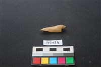 藏品(偶蹄類動物骨)的圖片