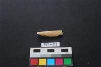 藏品(偶蹄類動物骨)的圖片