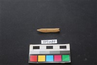 藏品(偶蹄類動物骨)的圖片