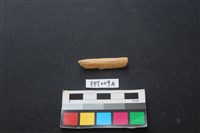 藏品(偶蹄類動物骨)的圖片