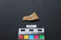 藏品(偶蹄類動物骨)的圖片