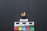 藏品(鹿骨)的圖片