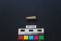 藏品(鹿骨)的圖片