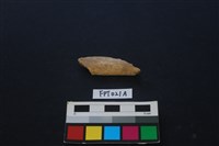 藏品(偶蹄類動物骨)的圖片