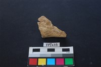 藏品(鹿骨)的圖片