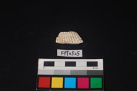 藏品(貝殼)的圖片