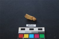 藏品(鹿骨)的圖片