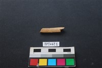 藏品(偶蹄類動物骨)的圖片