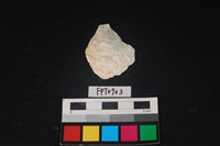 藏品(貝殼)的圖片