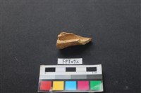 藏品(鹿骨)的圖片