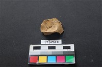 藏品(鹿骨)的圖片