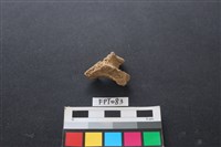 藏品(鹿骨)的圖片