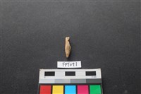 藏品(鹿骨)的圖片