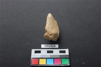 藏品(偶蹄類動物骨)的圖片