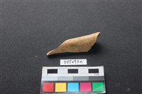 藏品(偶蹄類動物骨)的圖片