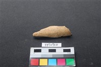 藏品(偶蹄類動物骨)的圖片