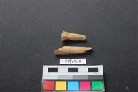 藏品(偶蹄類動物骨)的圖片