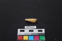 藏品(偶蹄類動物骨)的圖片