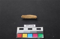 藏品(偶蹄類動物骨)的圖片