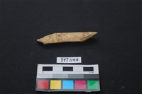 藏品(偶蹄類動物骨)的圖片