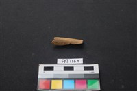 藏品(偶蹄類動物骨)的圖片