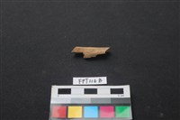 藏品(偶蹄類動物骨)的圖片