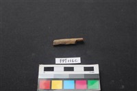 藏品(偶蹄類動物骨)的圖片