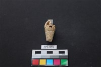 藏品(貝殼)的圖片