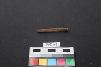 藏品(魚骨)的圖片