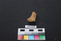 藏品(偶蹄類動物骨)的圖片