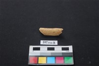 藏品(偶蹄類動物骨)的圖片