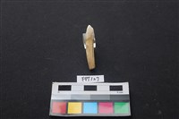 藏品(鹿骨)的圖片