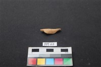 藏品(偶蹄類動物骨)的圖片