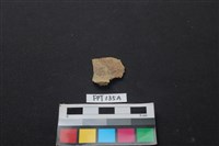 藏品(獸骨)的圖片