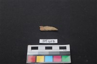 藏品(獸骨)的圖片